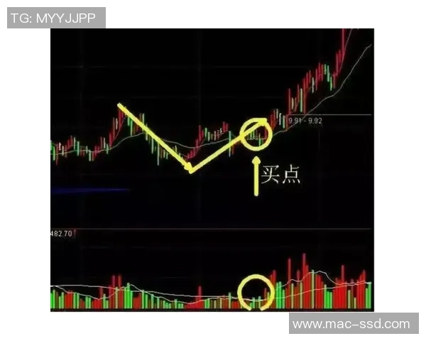 南京极限运动队快攻战术解析与实战应用探讨